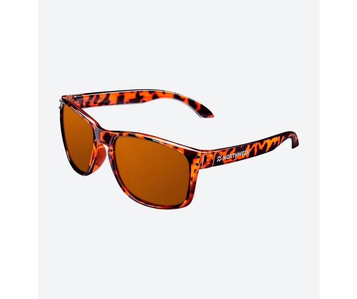 Actual product image Northweek Bold Tortoise