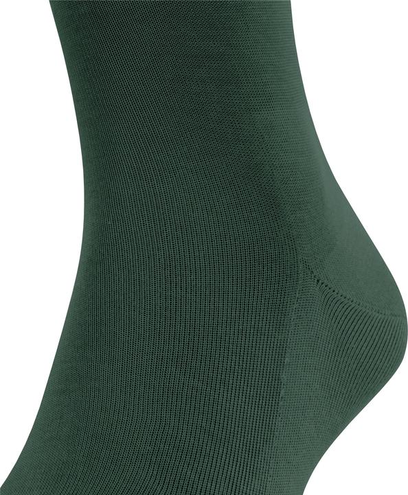 Actual product image Falke Tiago (Single pack, 41 - 42)