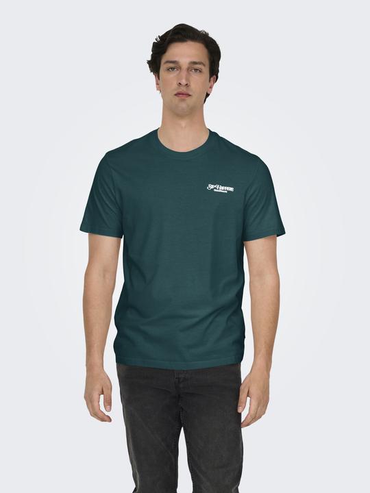 Image du produit Only & Sons T-Shirt Chris Life Kurzarmshirt (M)