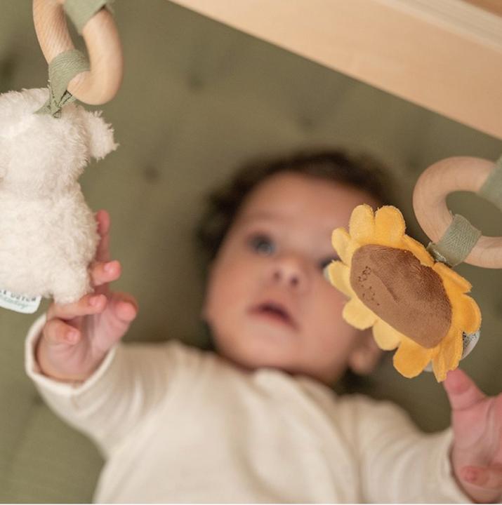 Actual product image Little Dutch Play trapeze
