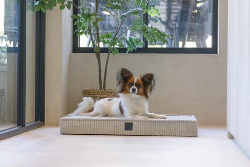 Productafbeelding Designed by Lotte Orthopedisch kooikussen Geribd (Hond)