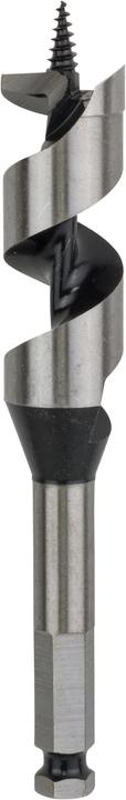 Actual product image Bosch Professional Zubehör PRO Wood Wood auger bit, 25 x 100 x 160 mm (25 mm)
