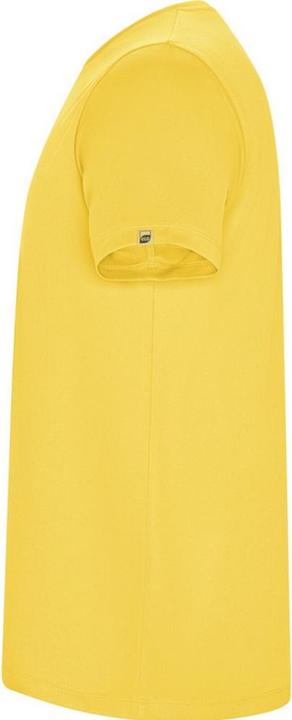 Immagine prodotto Alpinia Imola Maglietta Sportiva Maniche Corte Uomo (3XL)