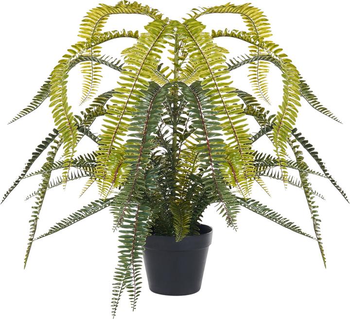 Produktbild Beliani Fern Leaf Plant (105 cm)