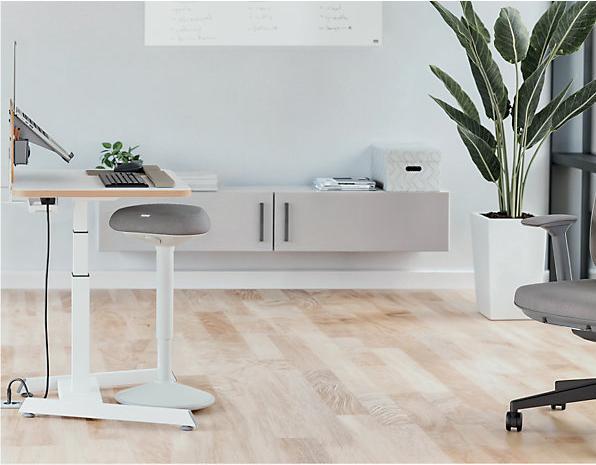 Actual product image Leitz Ergo Active