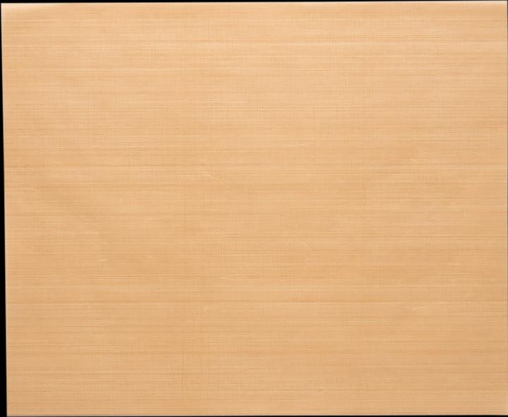 Patisse Film de cuisson antiadhésif (40 x 30 cm)