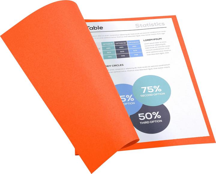 Produktbild Exacompta Sammelmappen - Aktendeckel (24 x 32 cm, 50 x)