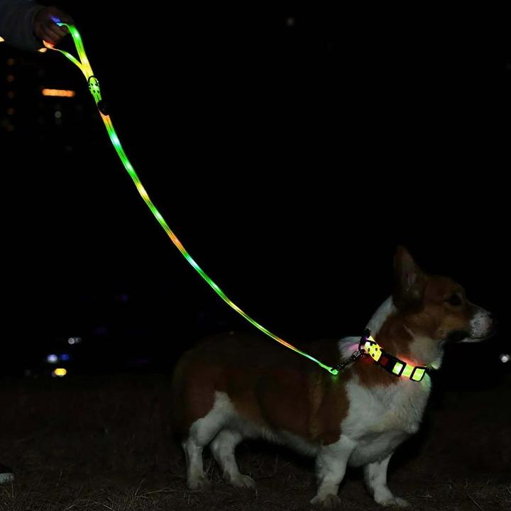 Produktbild Media-Tech Farbige LED-beleuchtete PVC-Leine für mittelgrosse und grosse Hunde, blau (M, L, Hund, Allgemein)