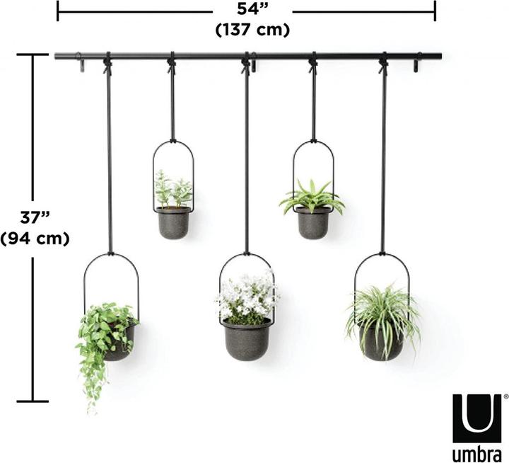 Image du produit Umbra Triflora (137 cm)