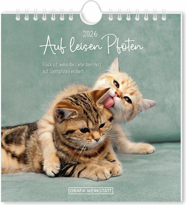 Produktbild Postkartenkalender 2026 Auf leisen Pfot (16 x 17 cm, Harter Einband, Deutsch)