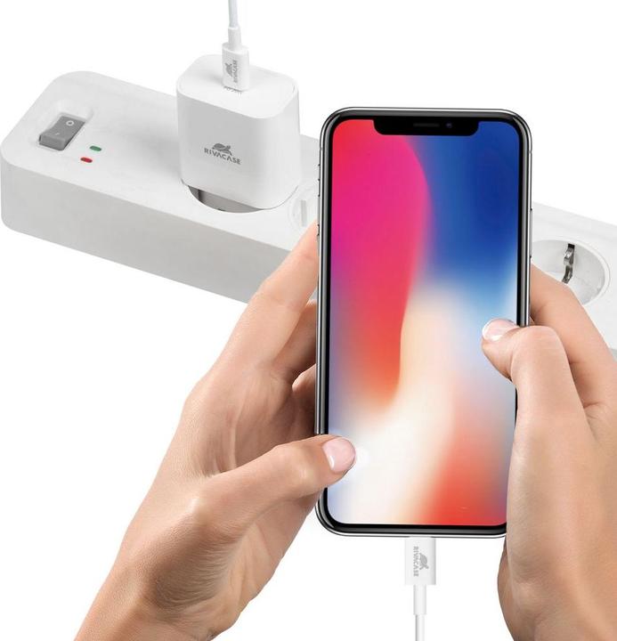 Image du produit Rivacase APPAREIL MOBILE WALL/WHITE PS4101 WD4 (20 W)