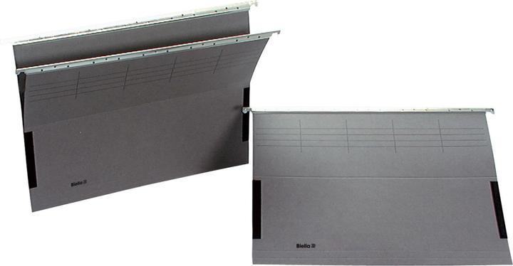 Produktbild Biella ORIGINAL Hängemappe mit Frosch (Seitenfalz) (A4, 1 x)