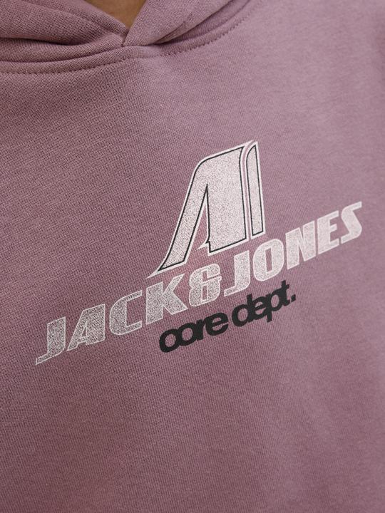 Produktbild Jack & Jones Jcotier Front Print Sweat Hood Sn Jnr (164)