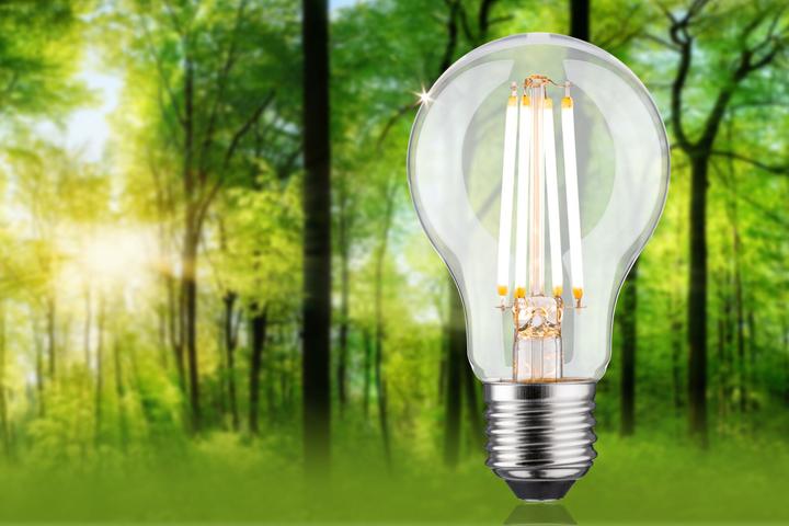 Actual product image Paulmann AGL Eco-Line (E27, 4 W, 806 lm, 1 x, B)