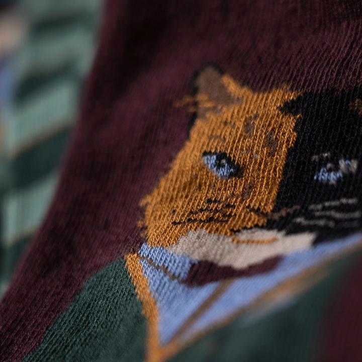 Immagine prodotto Jimmy Lion Gentle Cat (41 - 46)