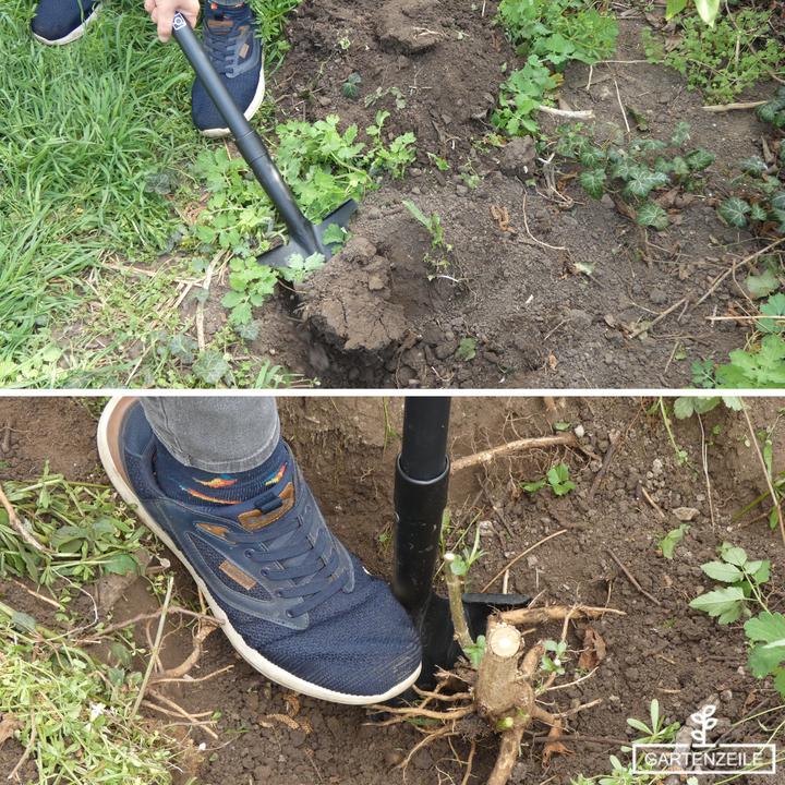 Produktbild Root Slayer Beetspaten Pro