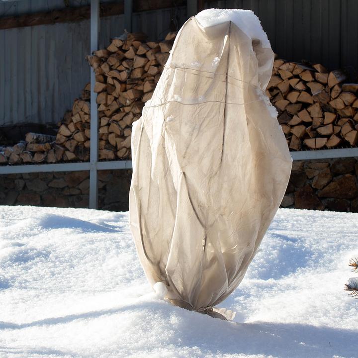Produktbild Toboli 2x Winterschutz Pflanzen 120x180cm 70g/m² Frostschutz Vlies Schutzhaube