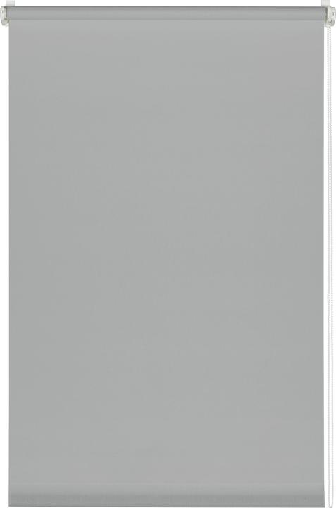 Deco Company Uni roller blind