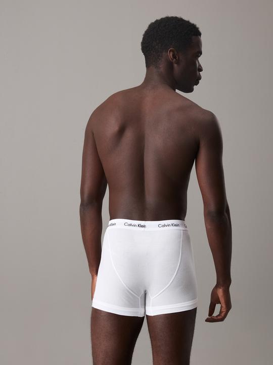 Actual product image Calvin Klein Trunk (XS, pack of 3)