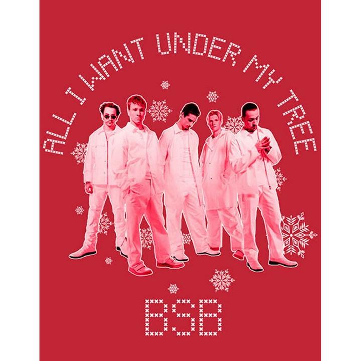 Immagine prodotto Backstreet Boys Maglietta di Natale All I Want (XL)