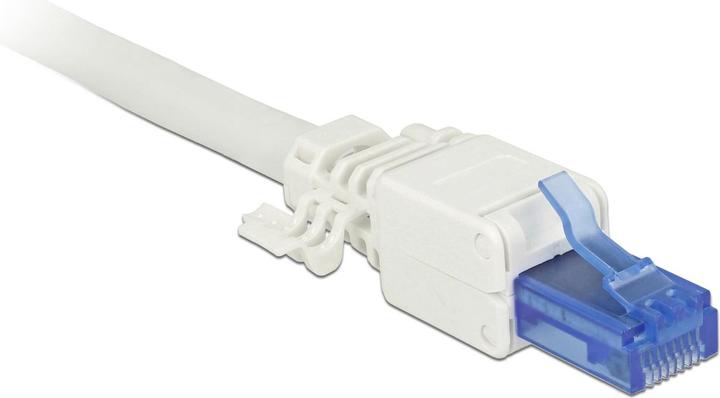 Image du produit Delock Prise RJ45, UTP, Cat.6A, 2 pièces (Câble réseau Connecteur)