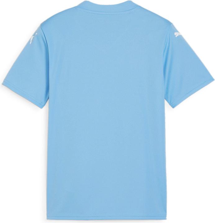 Produktbild Puma teamGLORY Jersey Jr (164)