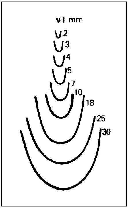 Immagine prodotto Ferro da stiro a forma dritta (4 mm)