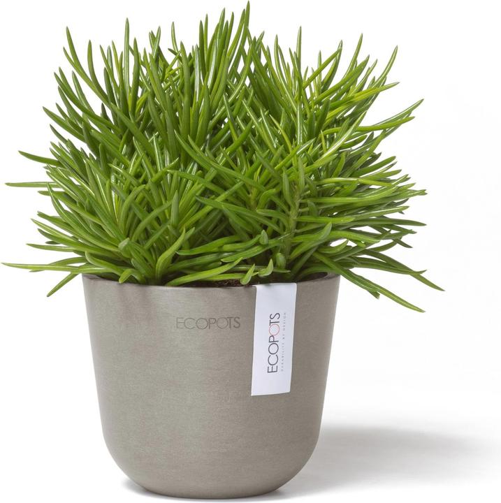 Image du produit Ecopots Oslo Mini (16 cm)