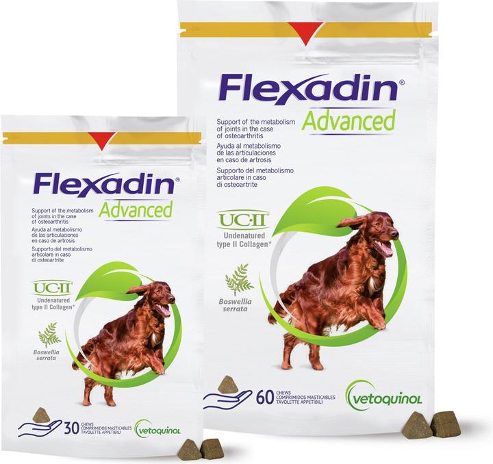 Produktbild Vetoquinol Flexadin Advanced – Snacks für Hunde – 60 Tabletten (Adult, 60 Stk., 180 g)