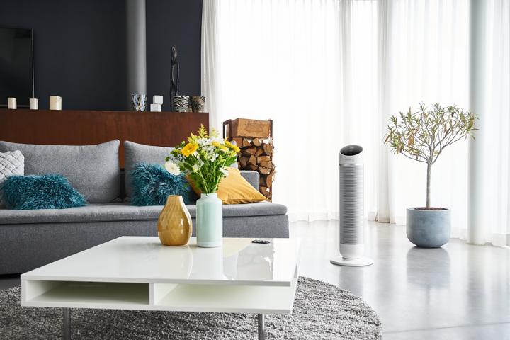 Actual product image Rowenta HQ8120 Silent Comfort (61 dB)