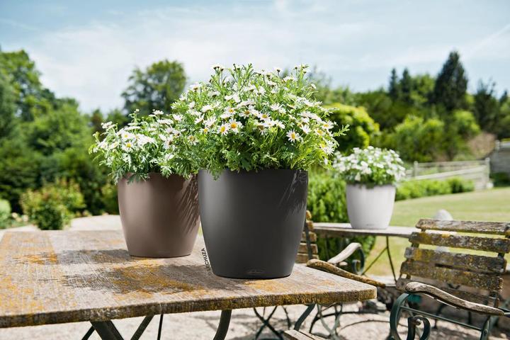 Actual product image Lechuza Classico Color (27.50 cm)