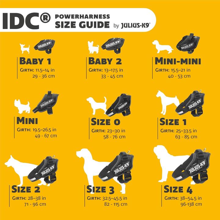 Immagine prodotto Julius-K9 IDC Powergeschirr für Hunde (S, Cane)