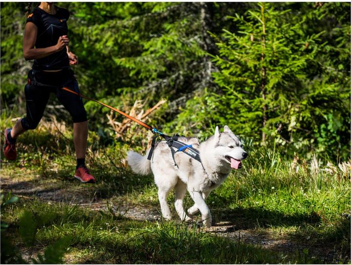Image du produit Non-Stop Dogwear Harnais Freemotion (3, Chien, Général)