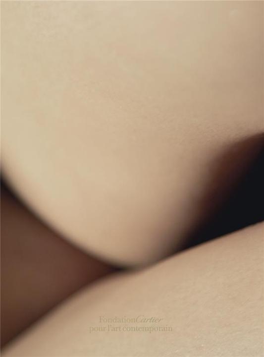 Immagine prodotto David Lynch: Digital Nudes (Inglese, David Lynch, 2021)