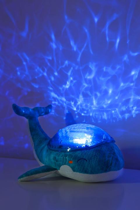 Actual product image Cloud B Tranquil Whale, Blue - (CB7901-WB)