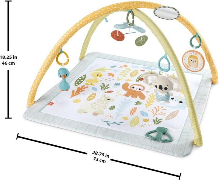 Actual product image Fisher-Price Simply Senses