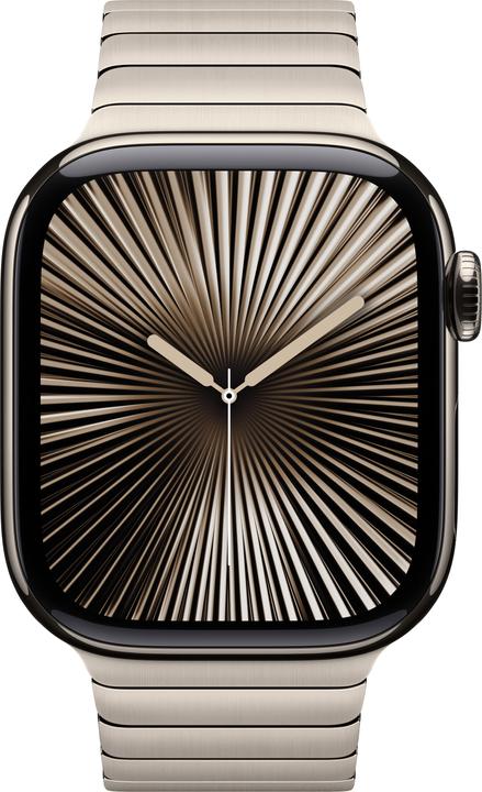 Productafbeelding Apple Schakelarmband (46 mm, Roestvrij staal)