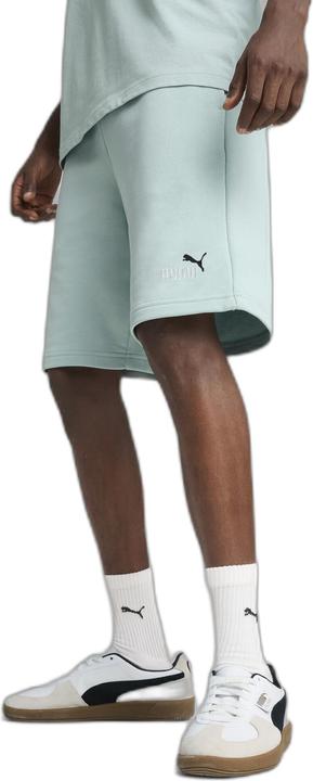 Actual product image Puma ESS 2 COLOR No. 1 Logo Shorts 10" TR (XL)
