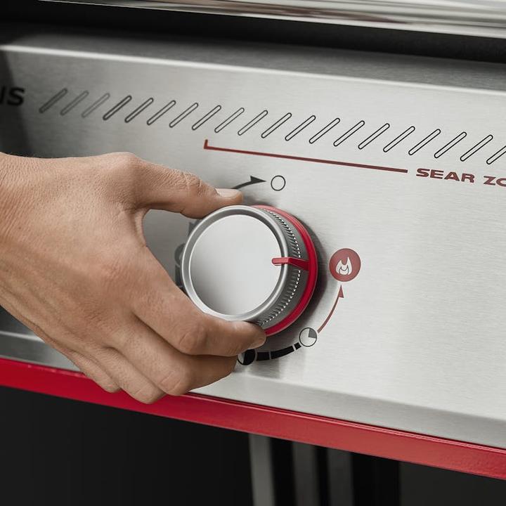 Actual product image Weber E-335W (17.88 kW)