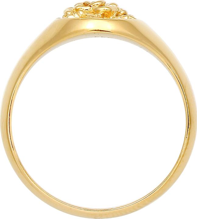 Immagine prodotto Elli Siegelring Rosen Design (54, 925 Argento)