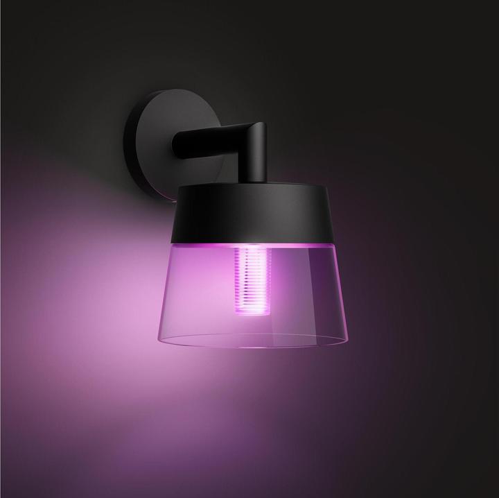 Image du produit Philips Hue Base d'attraction de la teinte (600 lm)