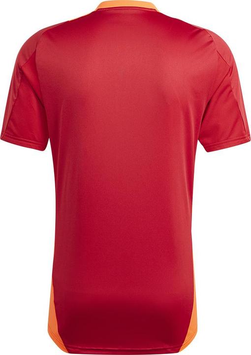 Image du produit adidas TIRO24 C TR JSY (L)