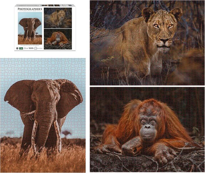 Produktbild Merchant Ambassador Wildtiere Blickkontakt Donal Boyd (1000 Teile)