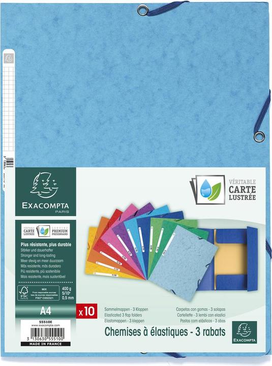 Image du produit Exacompta Dossier de collecte (A4, 1 x)