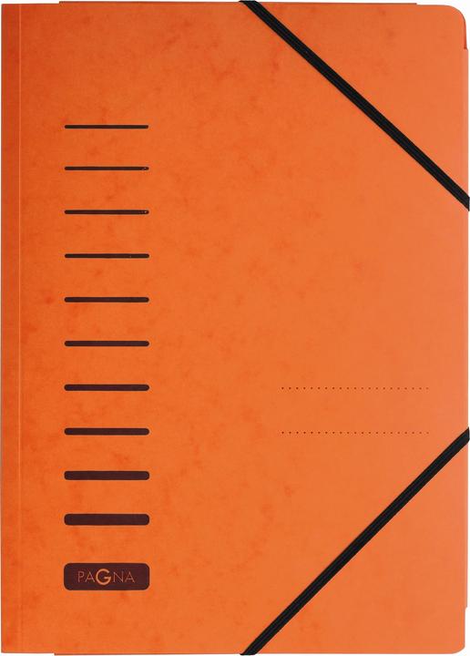Actual product image Pagna Rubber band folder (A4, 1 x)