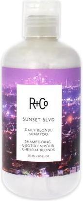 Actual product image R+Co Sunset Blvd Daily Blonde Shampoo 8.5 Ounce (8.50 ml, Liquid shampoo)