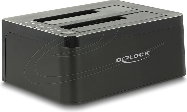 Delock Dual Dockingstation