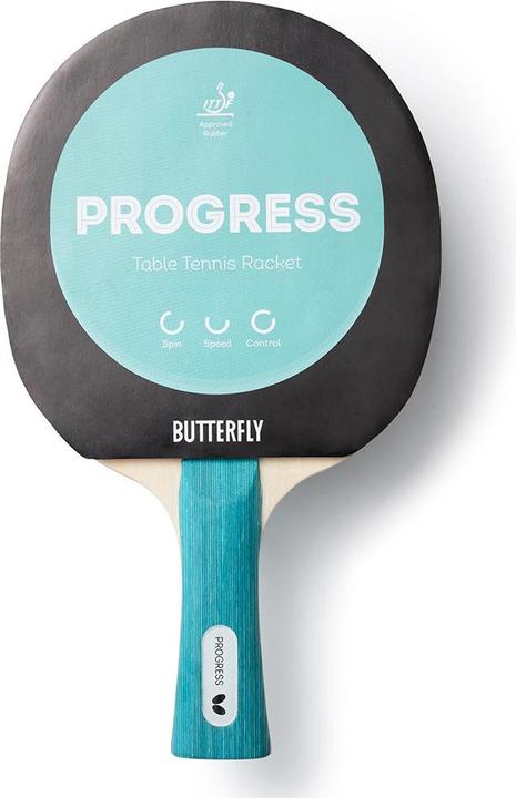 Butterfly Bat Progress