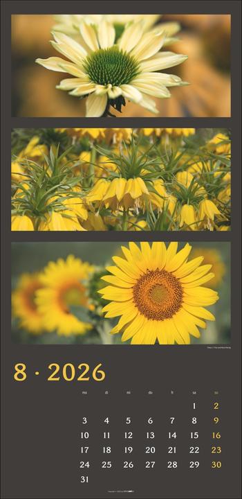 Produktbild Die Farben der Natur Kalender 2026 (33 x 68 cm, Deutsch)