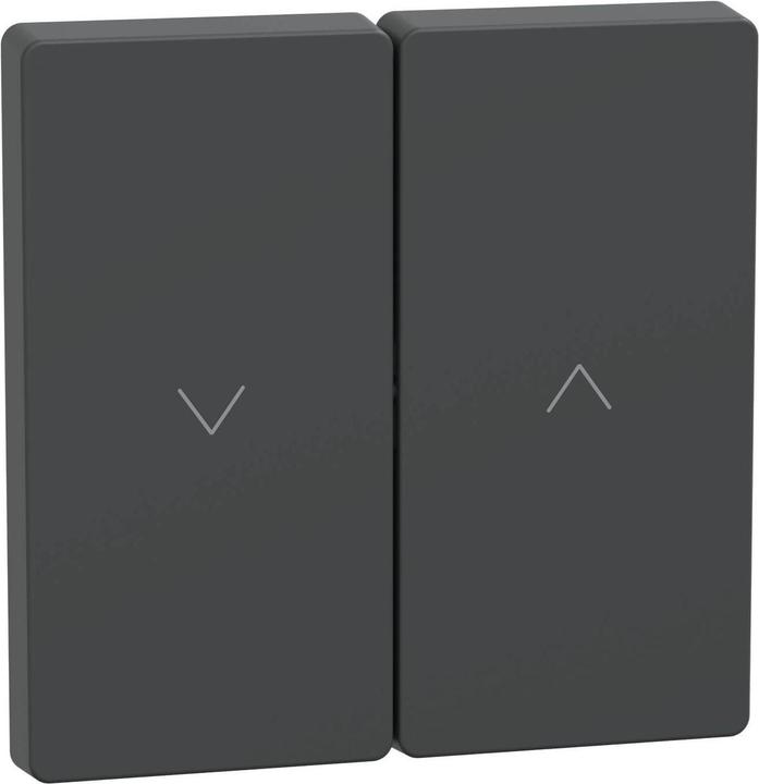 Merten Wippe Anthrazit System Design